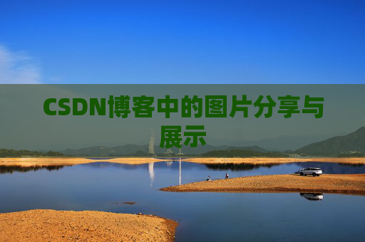 CSDN博客中的图片分享与展示